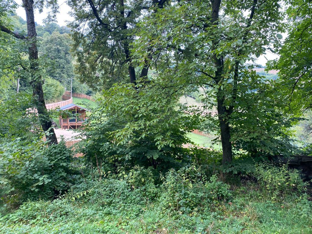 OPORTUNITATE TEREN DEZVOLTARE REȘEDINȚĂ IMOBILIARA DE LUX - Poză 5