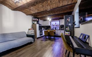 Apartament tip casa, cu gradina proprie, in zona centrala a Aradului - Poză 11