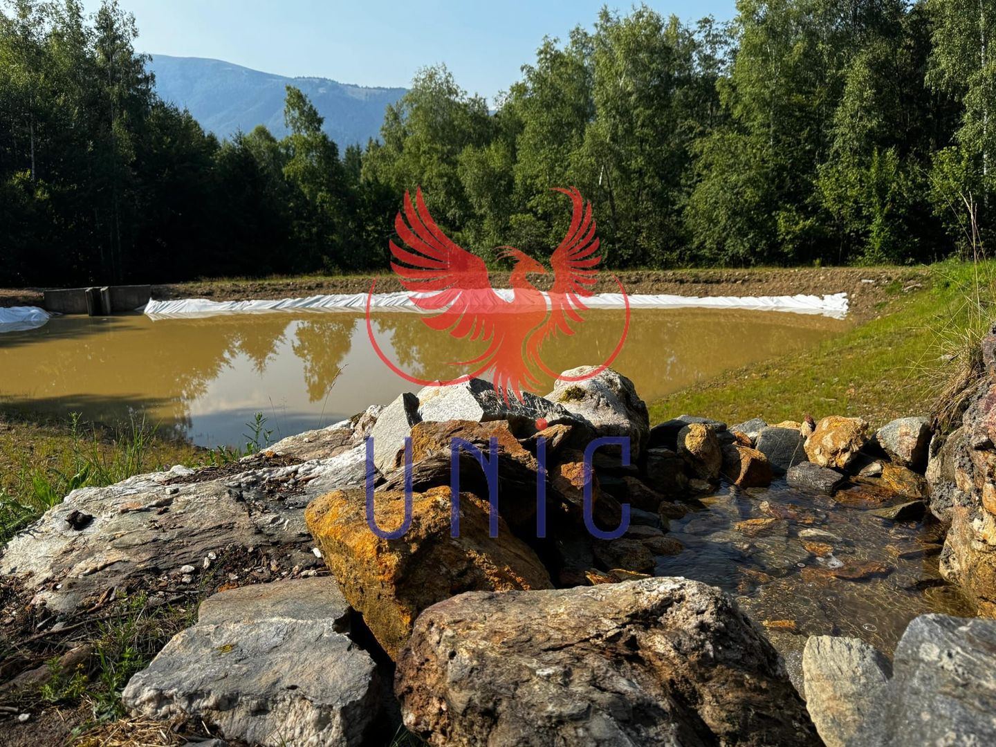 18000 mp de natura pura ,Lupeni, langa Straja - Poză 14