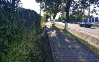 # intravilan în Țigănași la strada principală - Poză 1