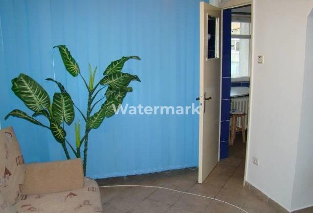 Nicolae Grigorescu - Poză 5