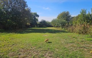 Casă și teren mare, cu ieșire la lac, lângă Mănăstirea Rebegești Crevedia - Poză 10
