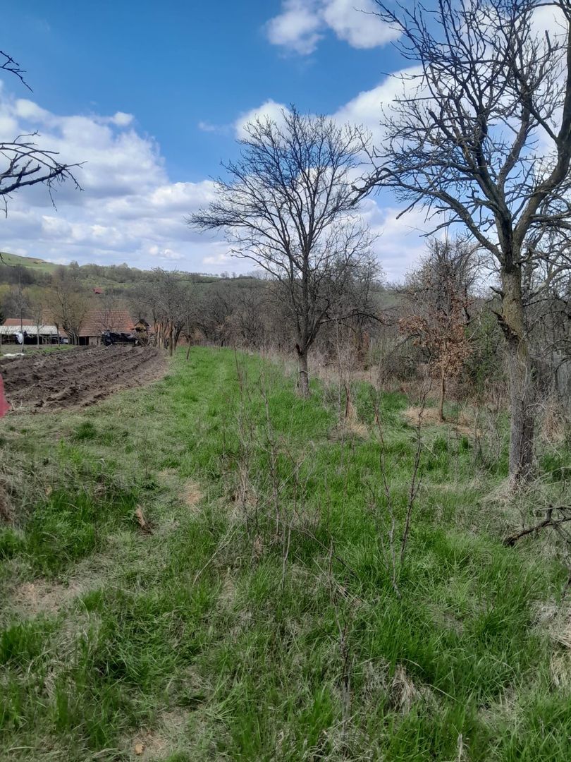 Teren de vanzare in Vaidei - Poză 3