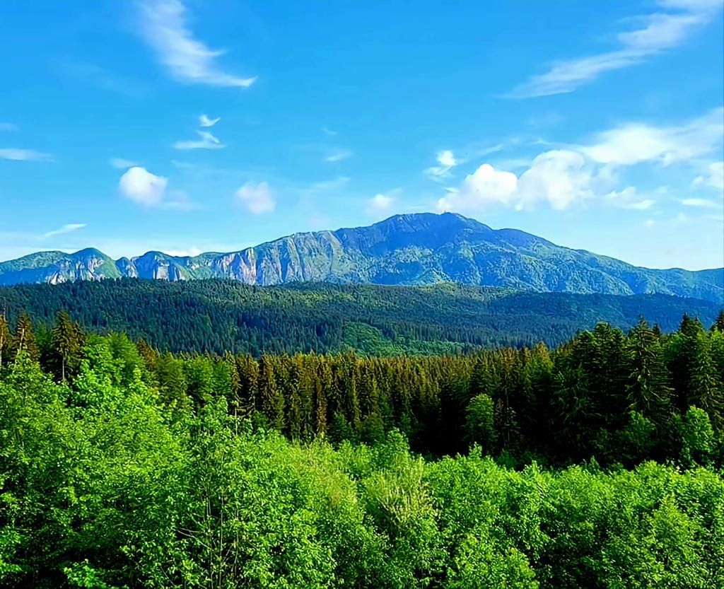 Aparthotel cu view superb Valea Prahovei - Poză 2