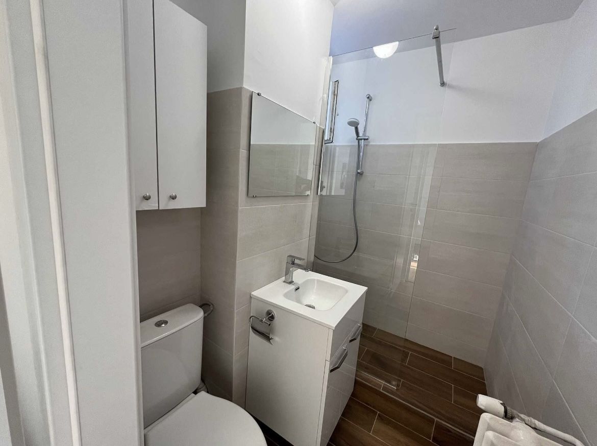 APARTAMENT TITULESCU | METROU VICTORIEI - Poză 6