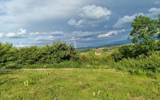 Teren intravilan de vânzare Daia Nouă | 1000 mp | Ideal pentru construcție - Poză 3