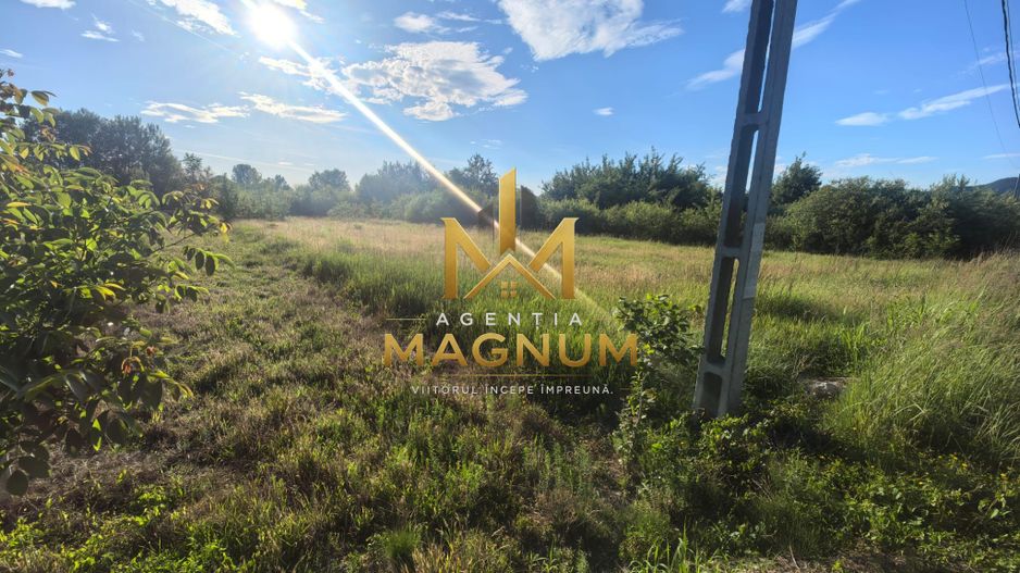 Teren intravilan 1376 mp de vanzare - Poză 3