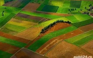 Teren industrial sau comercial 1002mp | VGP | Ghiroda - Poză 3