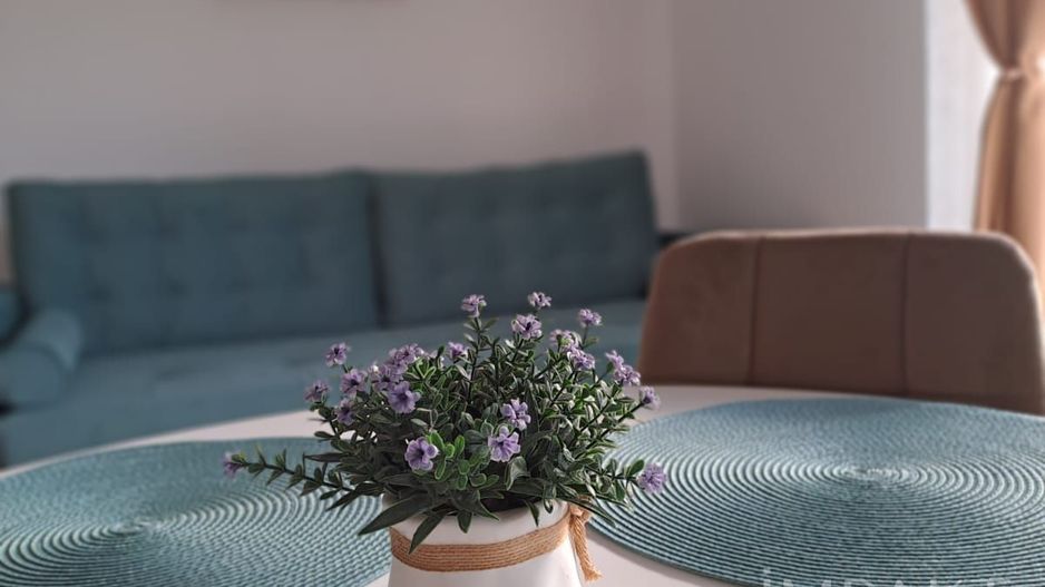 Apartament modern 2 camere, 50 mp + terasa 20 mp, de inchiriat - Poză 3