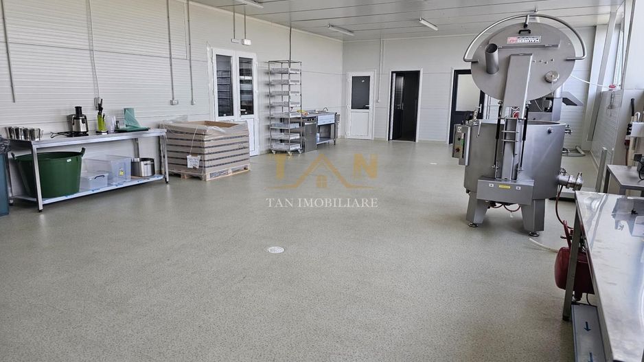 De Vânzare Afacere La Cheie ( ARAD) - Poză 9