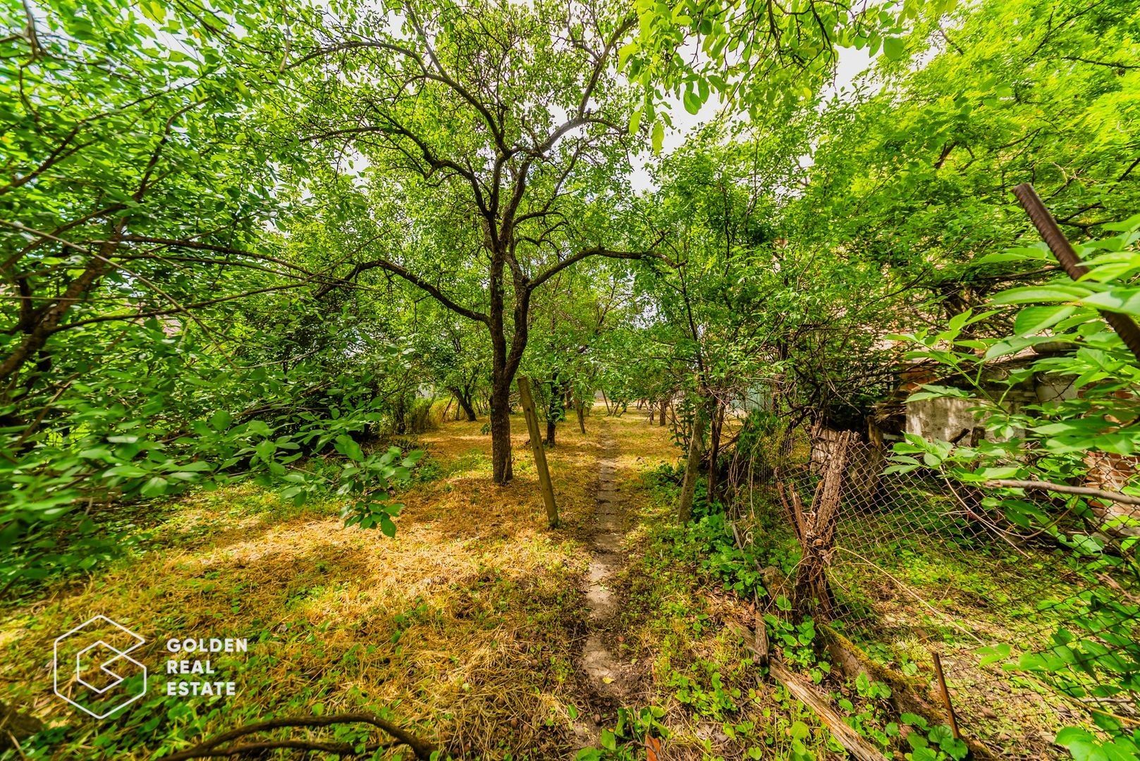 Casa cu teren generos de 1095 mp Parneava comision 0% - Poză 13