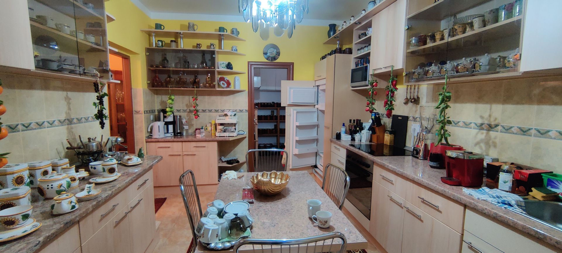 CASA INDIVIDUALA SI HALA CU TEREN  4000 MP - Poză 8