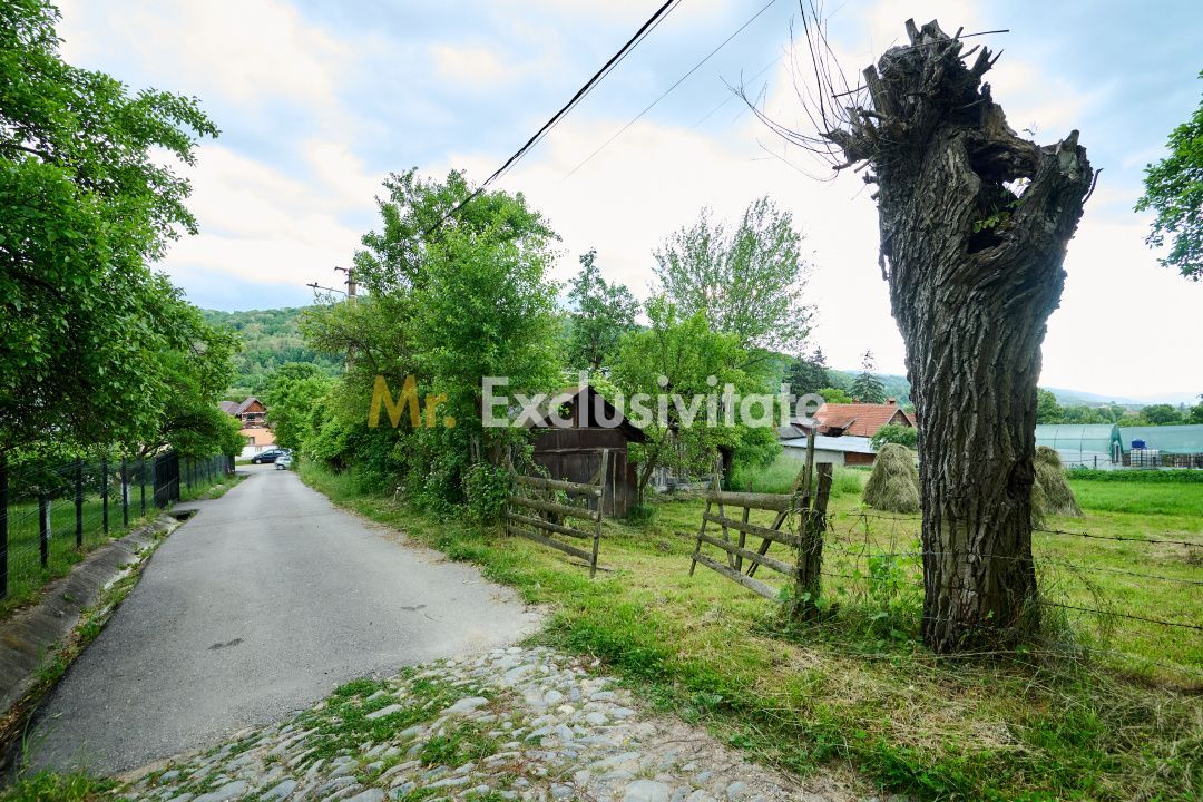 Casa cu teren generos - 4696 mp Apa Sarata - Campulung !! - Poză 16