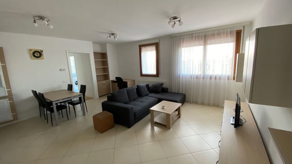 Apartament cu 2 camere de vanzare în zona Gheorghe Lazar - Poză 8