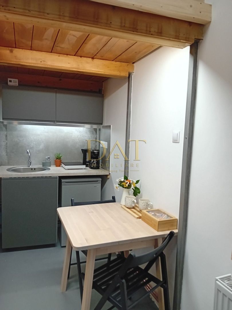 Garsonieră ultracentrală | str. Regele Ferdinand | Investitie | Airbnb - Poză 4