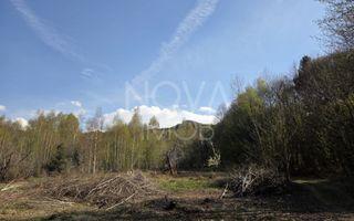 Teren intravilan de vanzare - Vistisoara - Poză 7