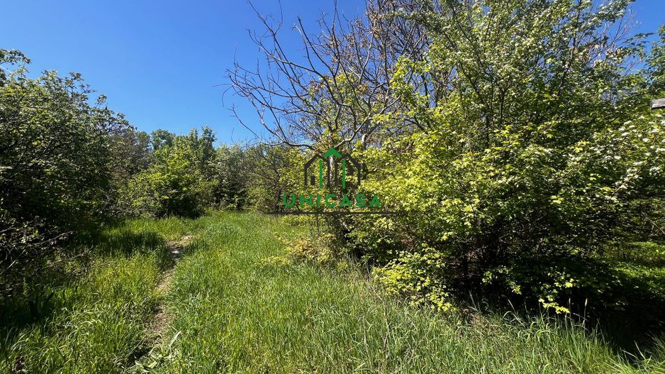 Teren intravilan/934 mp/Lenin Sud - Poză 3