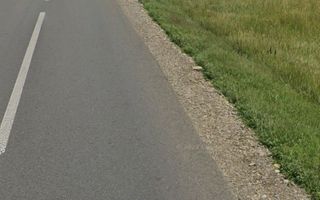 Teren extravilan de 29.300 mp, deschidere 41 m la E58, pe directia Iasi, intre Podul Iloaei si Letcani - Poză 3