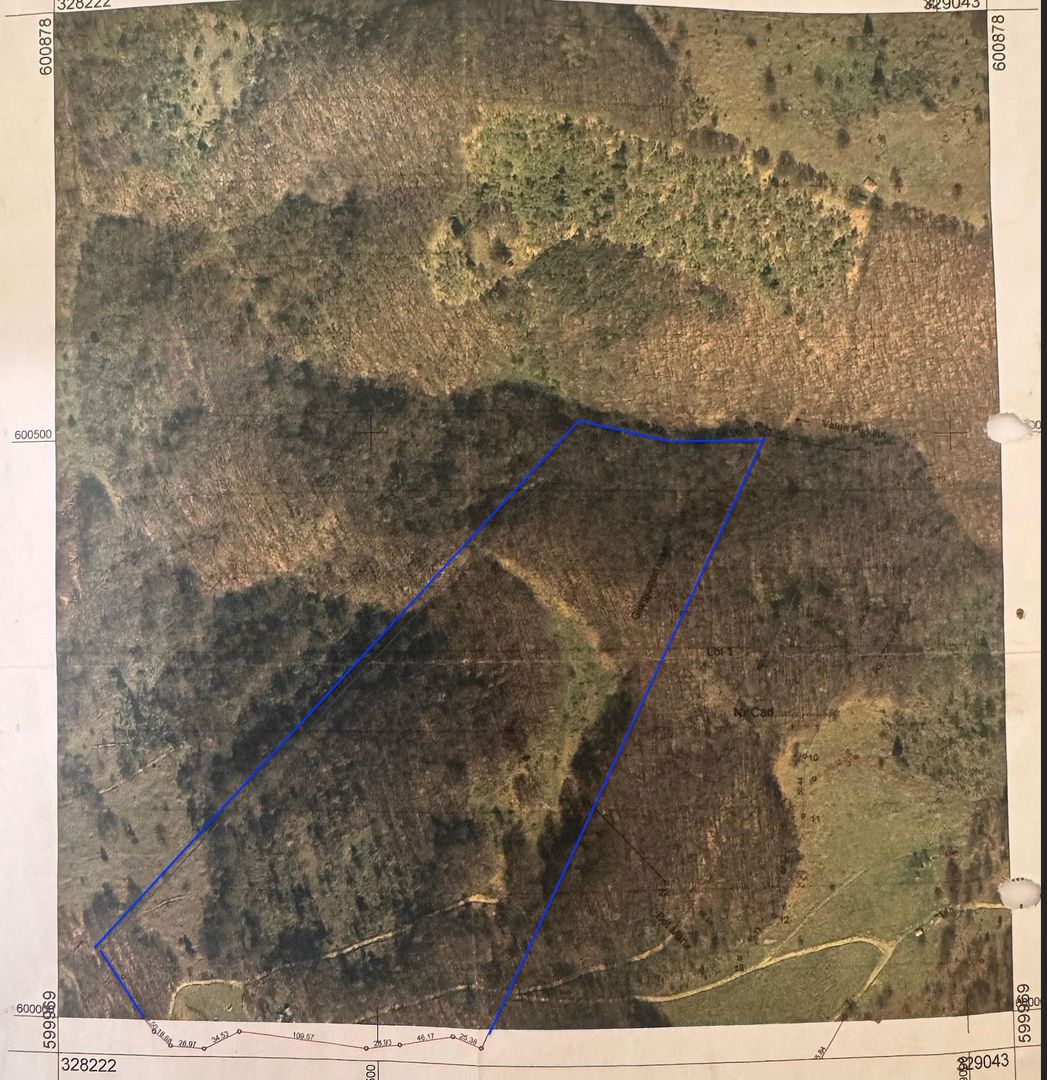 Padure 14 Ha in Munteni comuna Bulz - Poză 3
