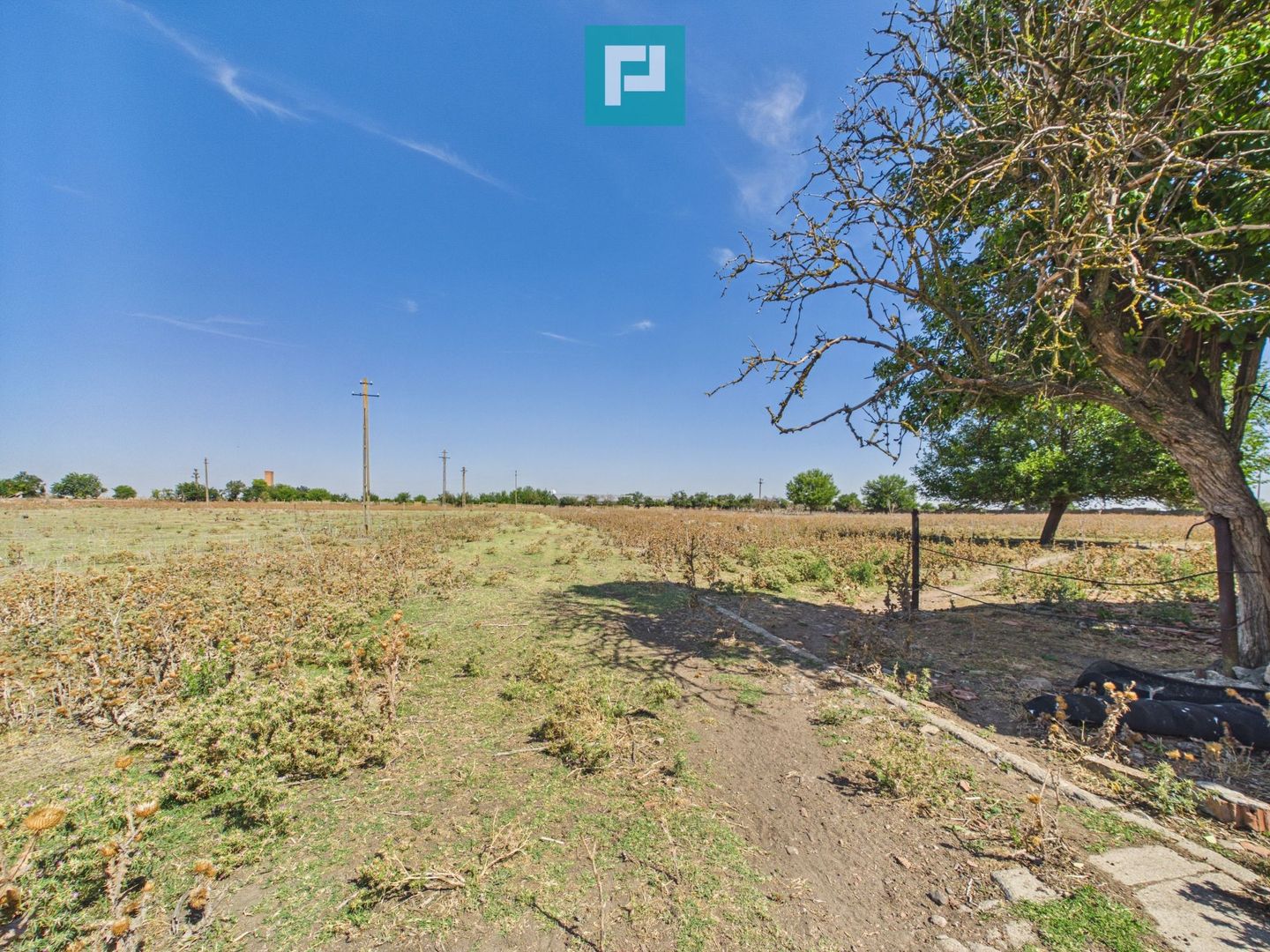 Teren intravilan 146.866 mp de vânzare | Jimbolia - Poză 13