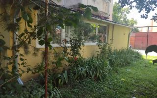 BRASADAS vinde ap cam - Poză 2