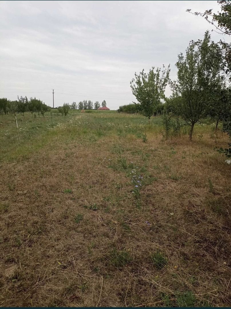 Casa cu teren de vanzare-Satmarel, Satu Mare - Poză 8