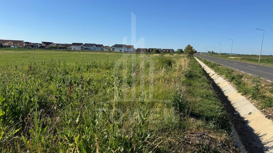 Teren 2500mp Sura Mica - Ocna Sibiului | 162.500 EUR - EXCLUSIVITATE - Poză 5