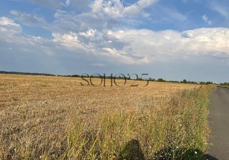 Coreanca  8000 mp intravilan - Poză 5