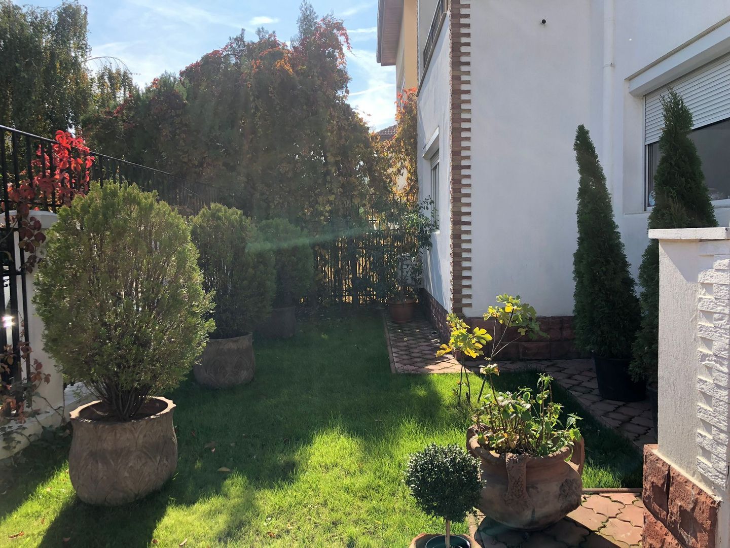 Vilă Superba de Lux de Închiriat în Iancu Nicolae – Confort și Eleganță la Cele - Poză 9