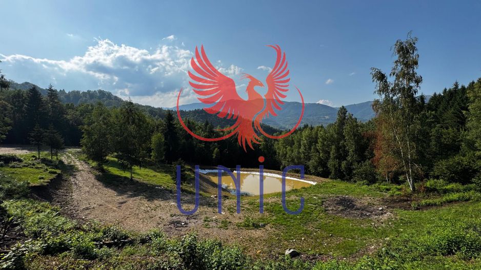 18000 mp de natura pura ,Lupeni, langa Straja - Poză 28