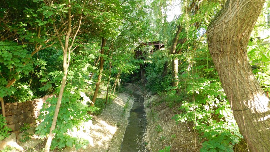 Vilă cu 1.350 mp teren în mijlocul orașului Grădina Botanică - Poză 20
