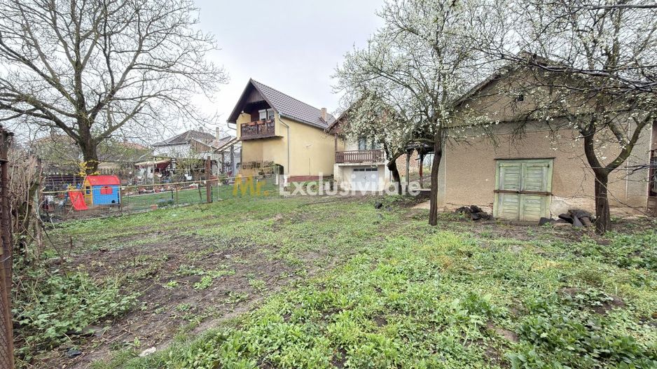 De vânzare 2 Case de vinificație cu Teren 4108 mp - Grădina Viilor - Carei - Poză 3
