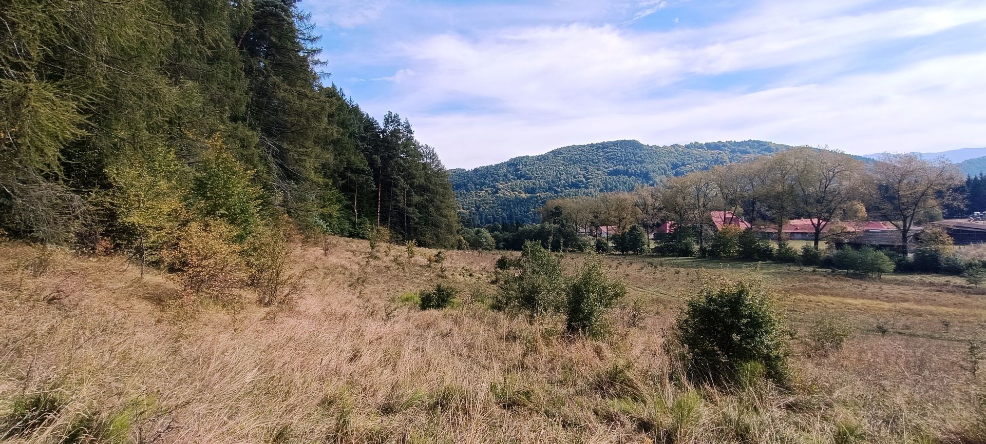 teren in zona Bradet-Sacele - Poză 6