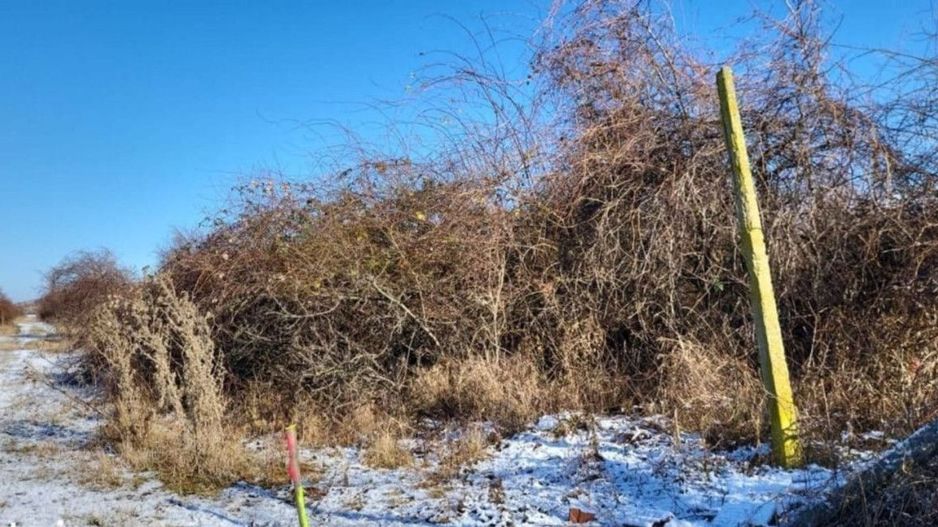 Teren extravilan, comuna Ghioroc - Poză 1