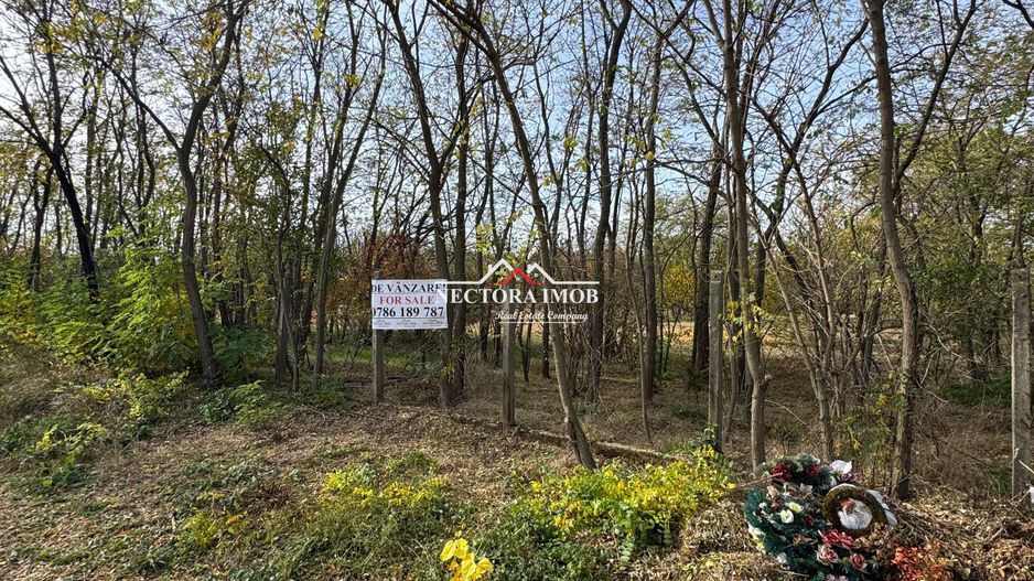 NECTORA IMOB-Teren cu livada matura+Anexa racordata la trifazic,9162mp - Poză 8