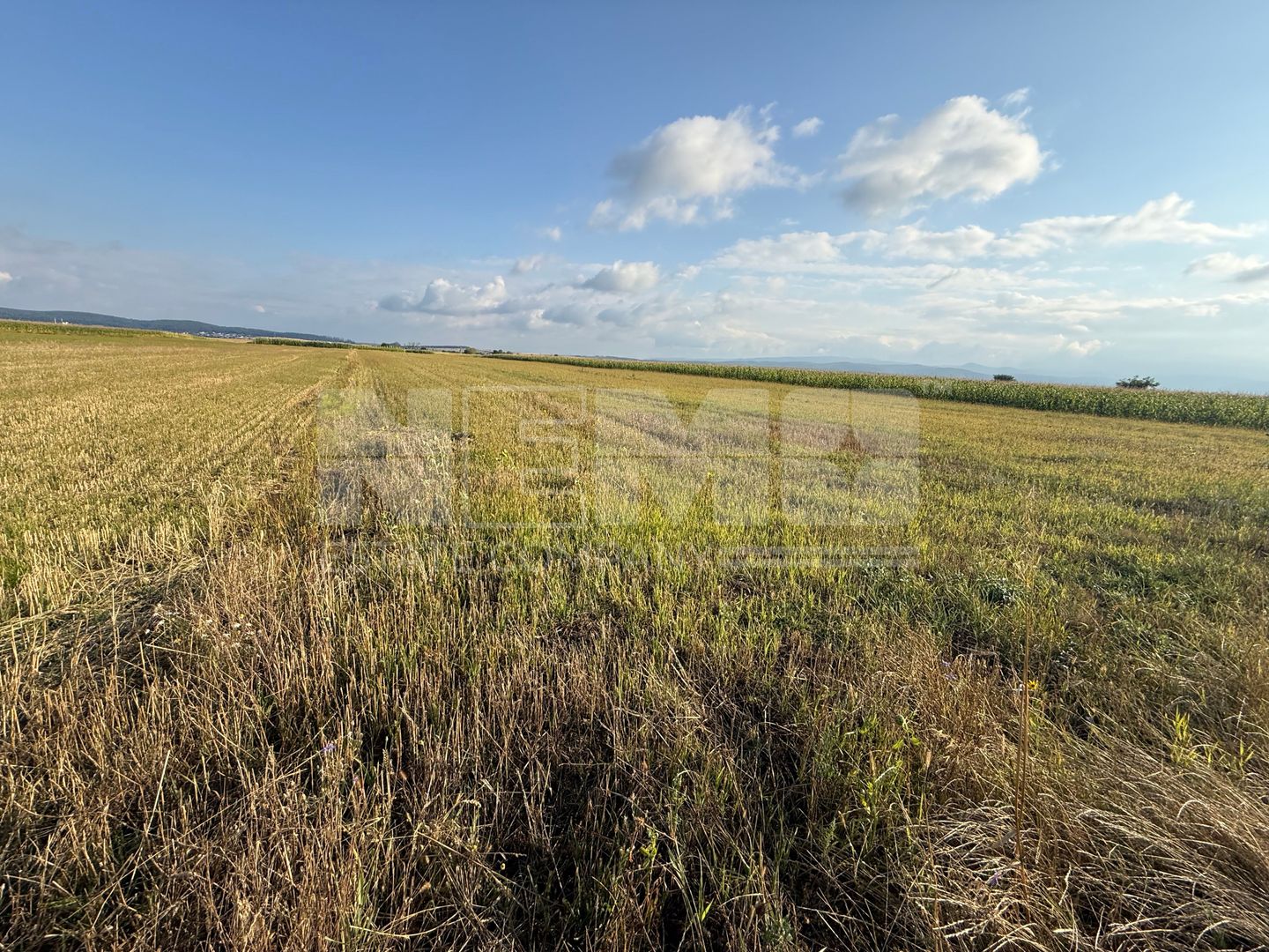 Teren extravilan de vânzare | Horodnic de Sus | 45 Ari - Poză 4
