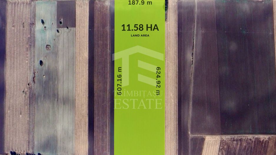 Teren folosinta conditii speciale | Oportunitate investitie | Nadlac - Poză 4