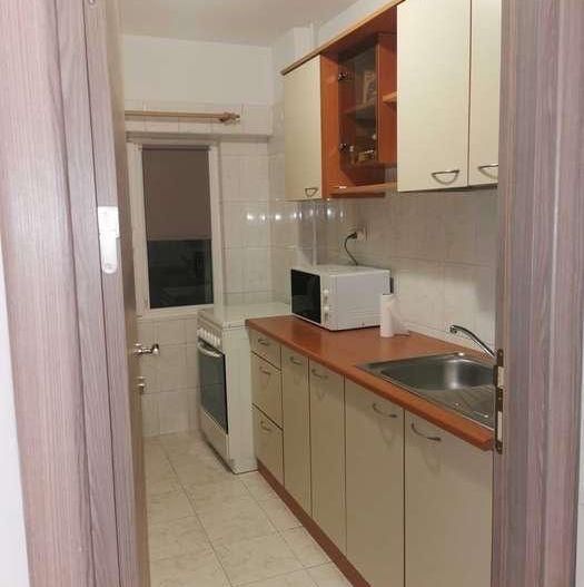 Apartament 2 Camere, Calea Mosilor - Poză 7