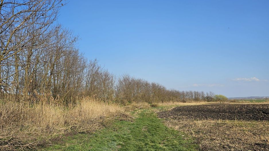 Teren extravilan pentru balastiera Biharia - Poză 6