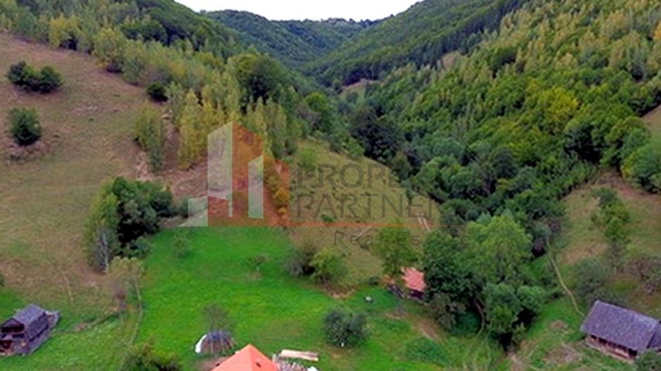 Teren de investiție în Moieciu, lângă Castelul Bran – 11.381 mp, vedere Bucegi - Poză 12