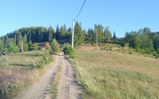 Teren Intravilan | 3.000 mp | Gârda de Sus | Alba | - Poză 3