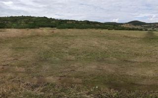 TEREN INTRAVILAN 5000 mp-ideal case,hale-Livezile PRET PROMO! - Poză 2