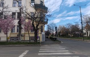 Apartament 2 camere | Demisol | Kogălniceanu | Comision 0