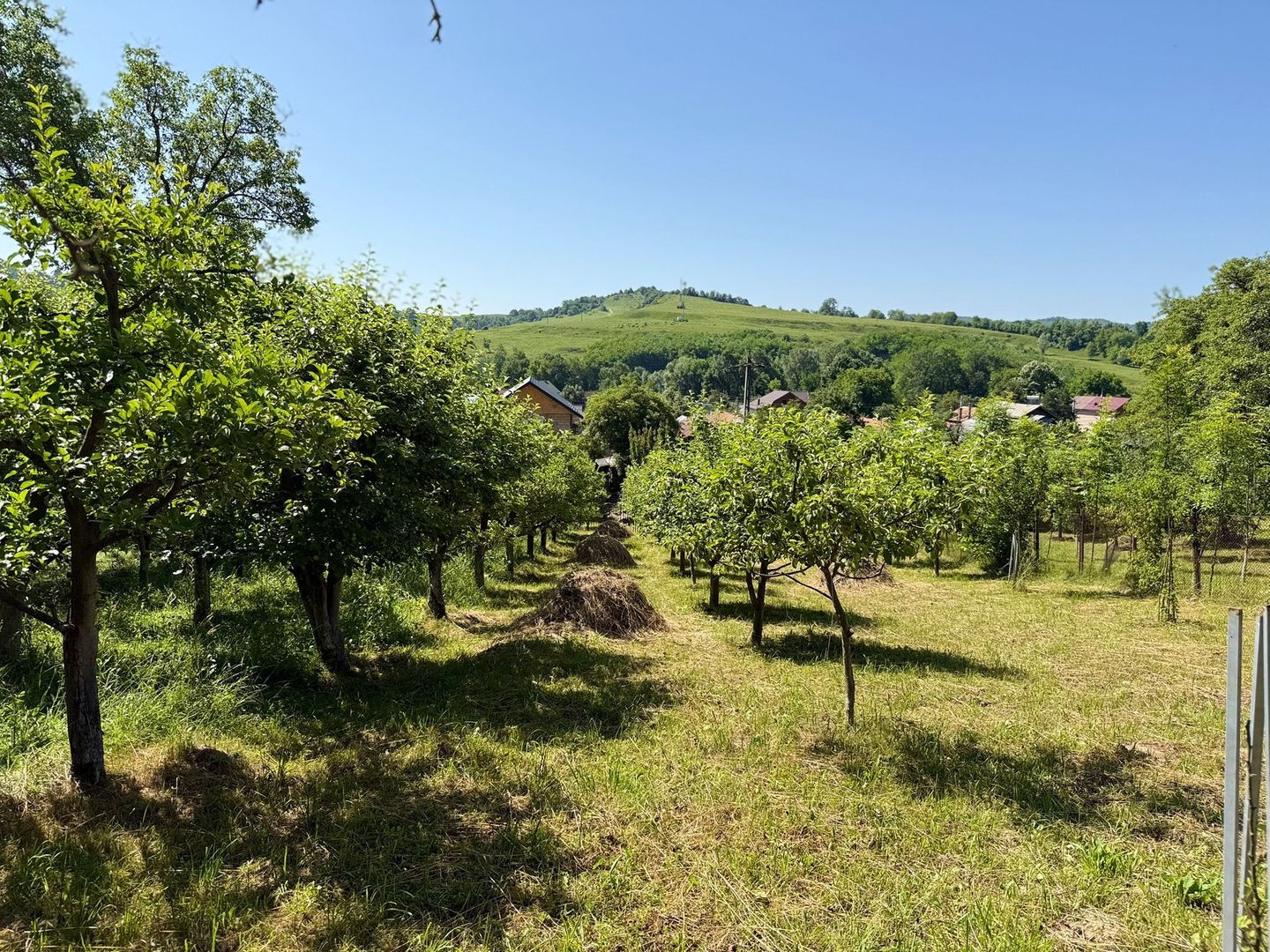 Vanzare casa cu 4 camere+anexe într-o zonă de poveste – Bezdead - Poză 17