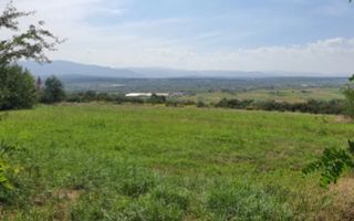 Teren | Mohu  | 1703 MP | - Poză 1