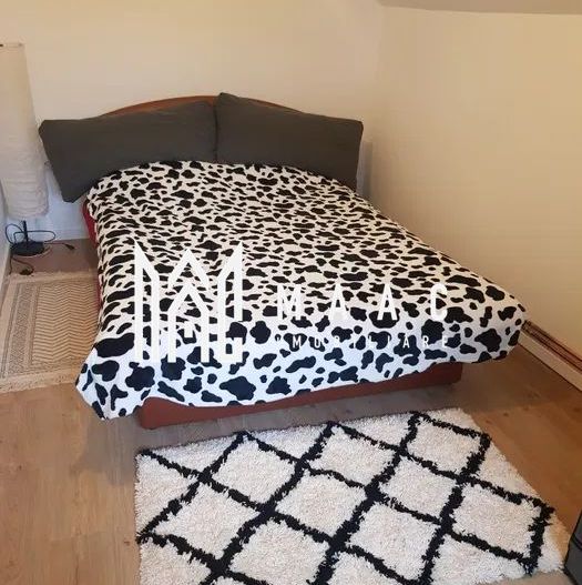 Casa 4 Camere | 600 MP Teren | Avrig - Poză 7