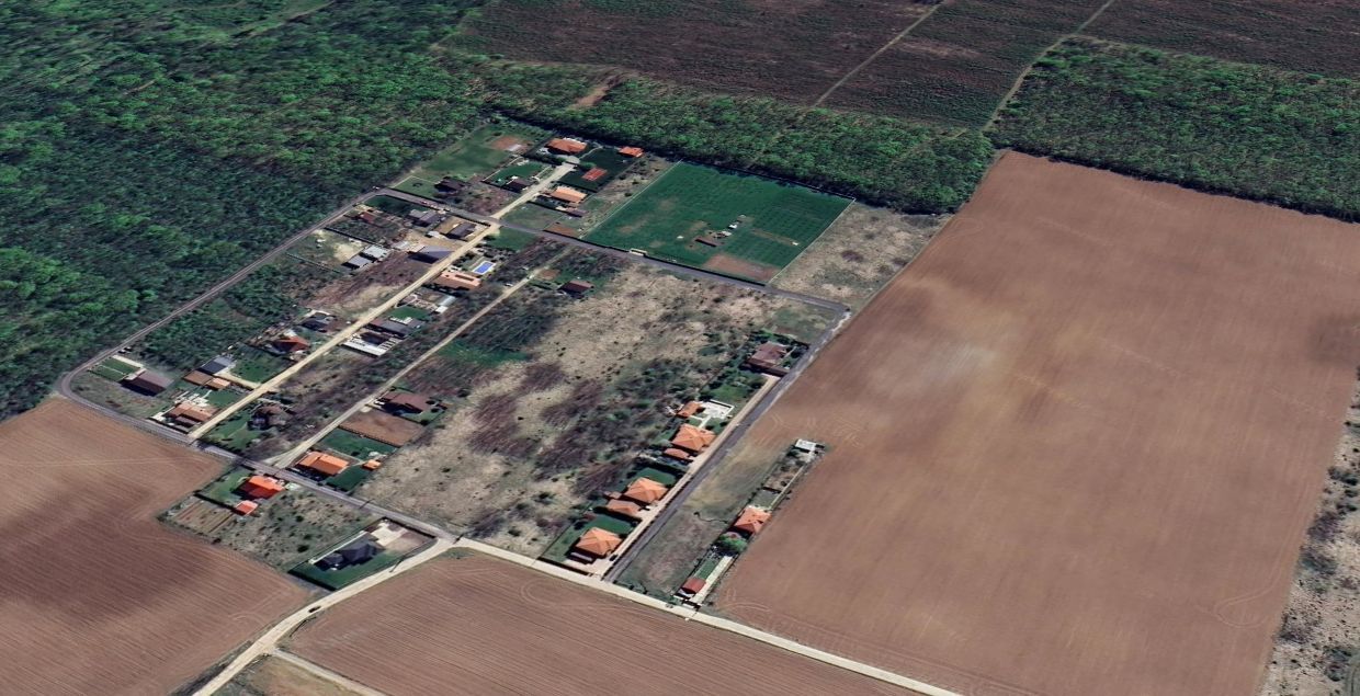 800 mp padurea Snagov Ciofliceni l utilitati la strada - Poză 5