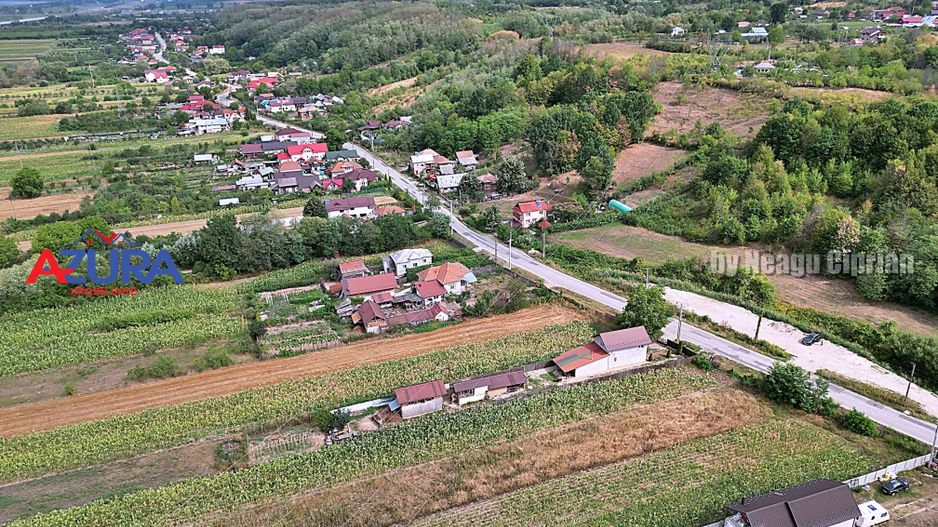AZURA Imobiliare - Teren Budeasa Galasesti Calotesti - Poză 4