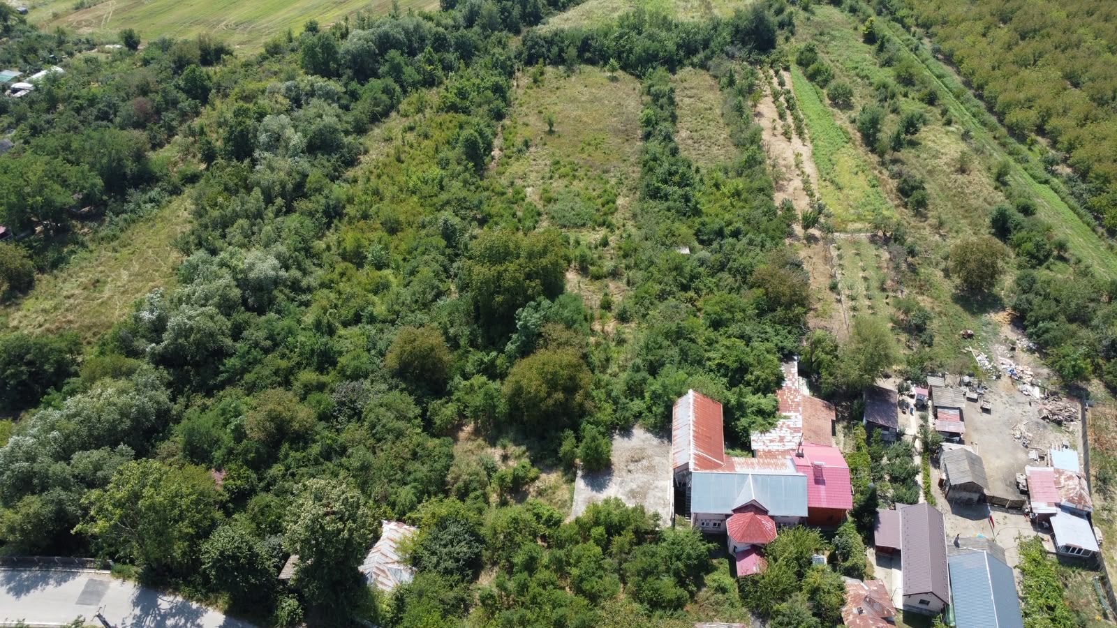 Teren 7808mp Bolovani - comuna Cornățelu (COMISON ZERO) - Poză 14