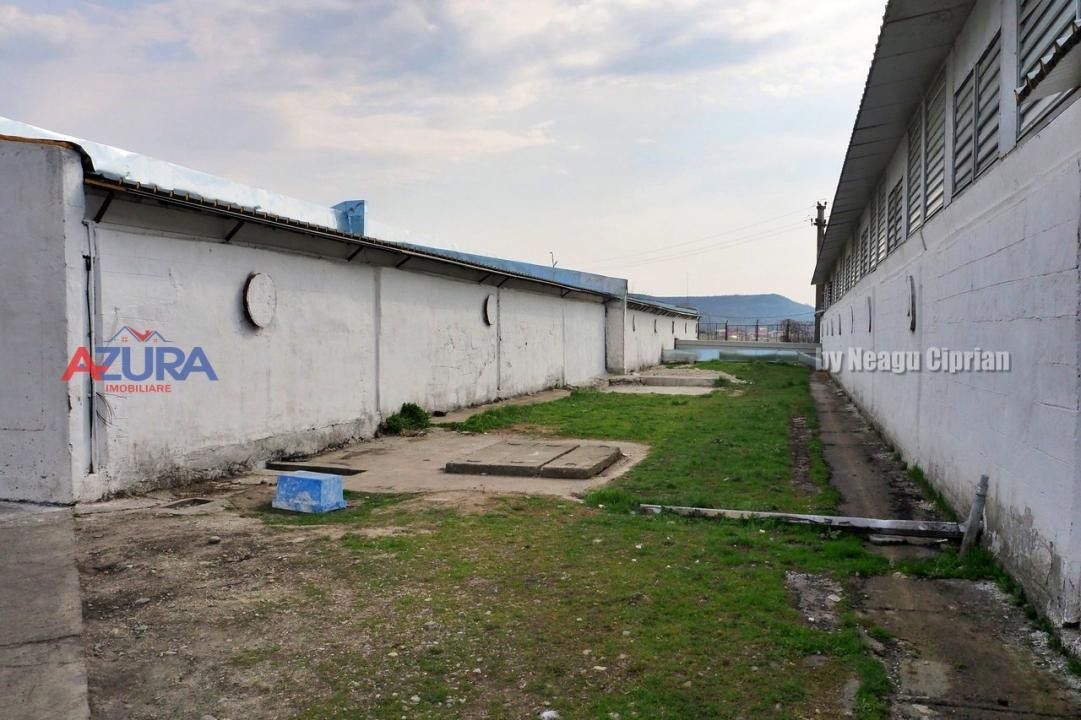 COMISION 0% - HALE Calinesti Arges - Poză 45